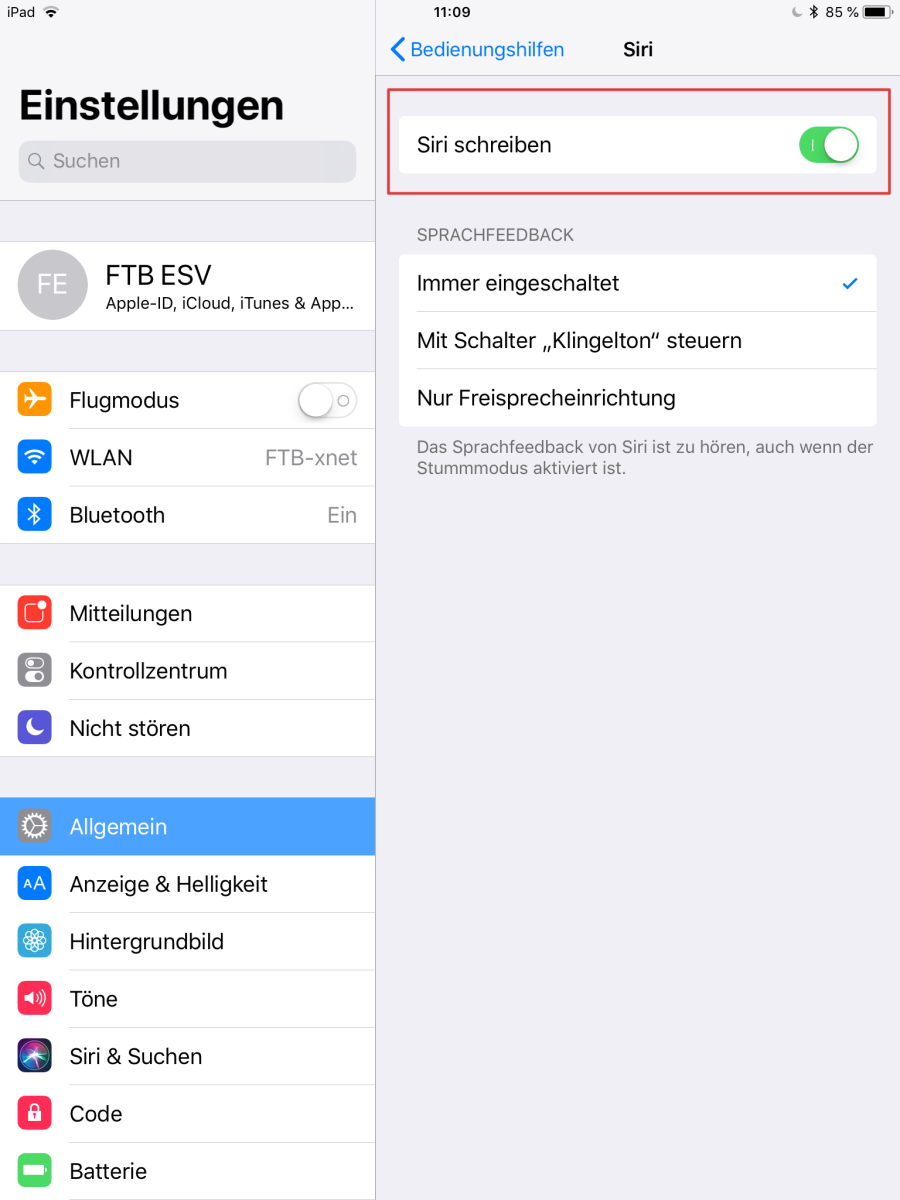 iOS-Einstellungen Bedienungshilfen: Siri-Einstellungen